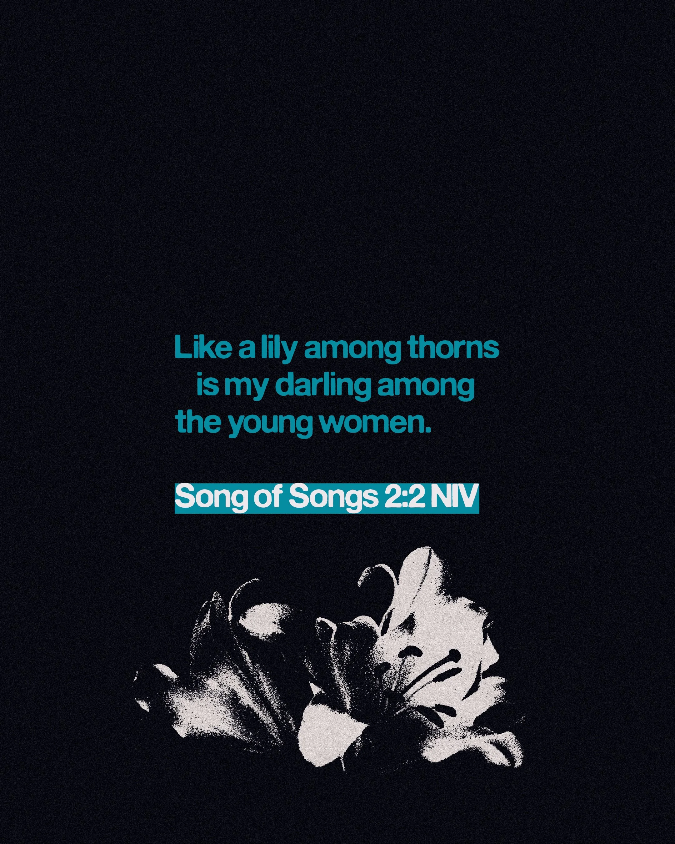 Bible Verse & Quote Graphics-updated_4.jpg