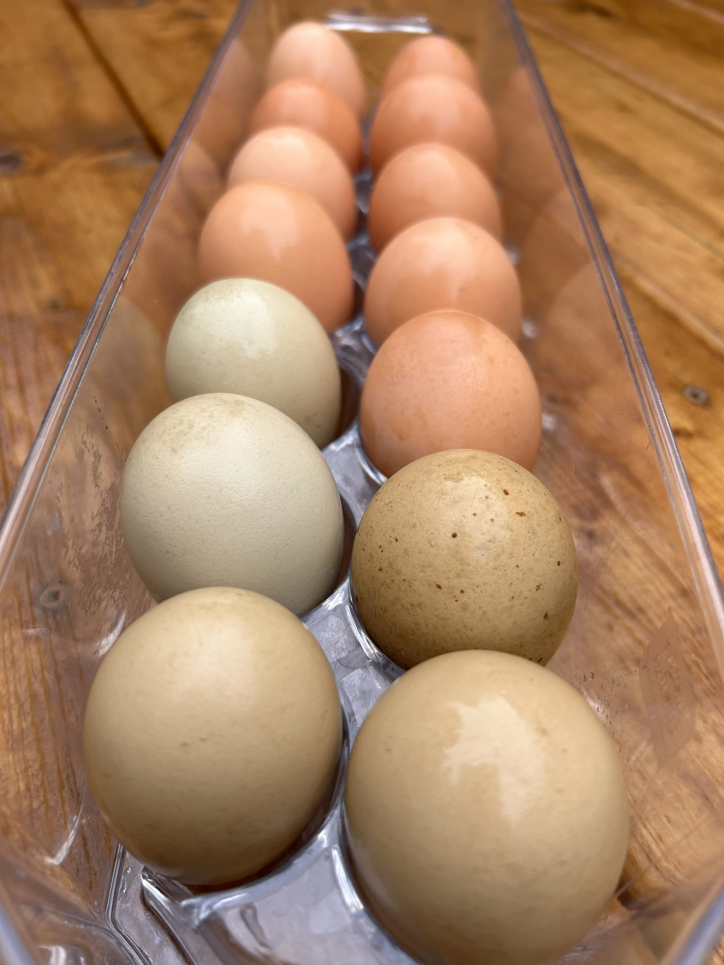 Farm Fresh Eggs