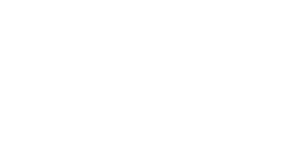 DTS Development Group