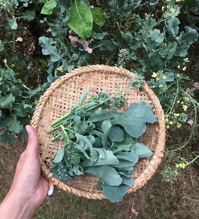 df714d_f4ab9febe3e9489181da2fea16770aea~mv2 (1).webp