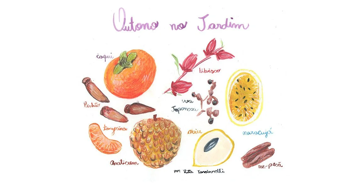 Outono no Jardim