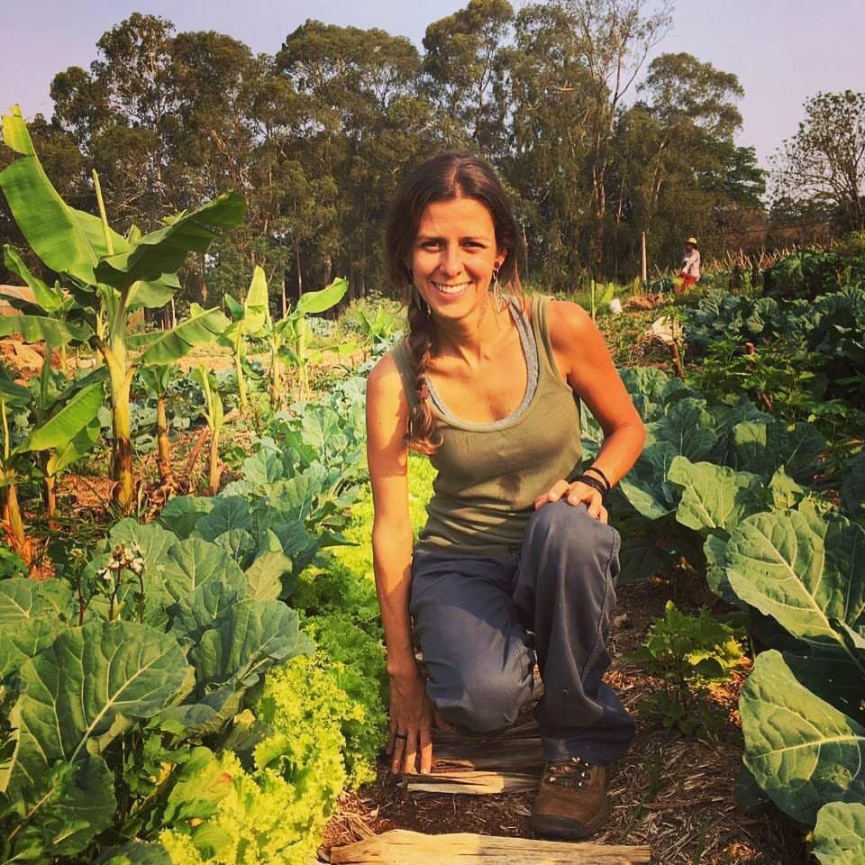 O paraíso não está em outro lugar - entrevista com Mônica Passarinho