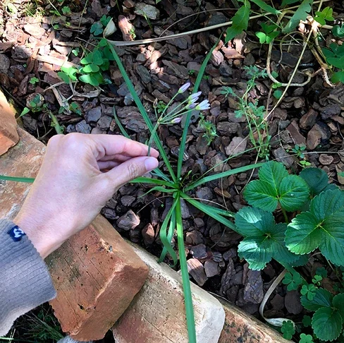 df714d_dff176d6979c46699889d0cb86ca9fed~mv2 (1).webp