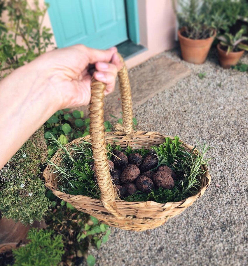 Ovinhos de páscoa com cacau (sem açúcar)