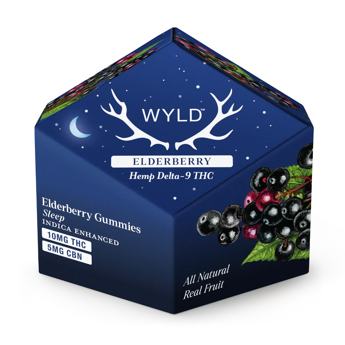 Wyld Elderberry 2:1 Sleep
