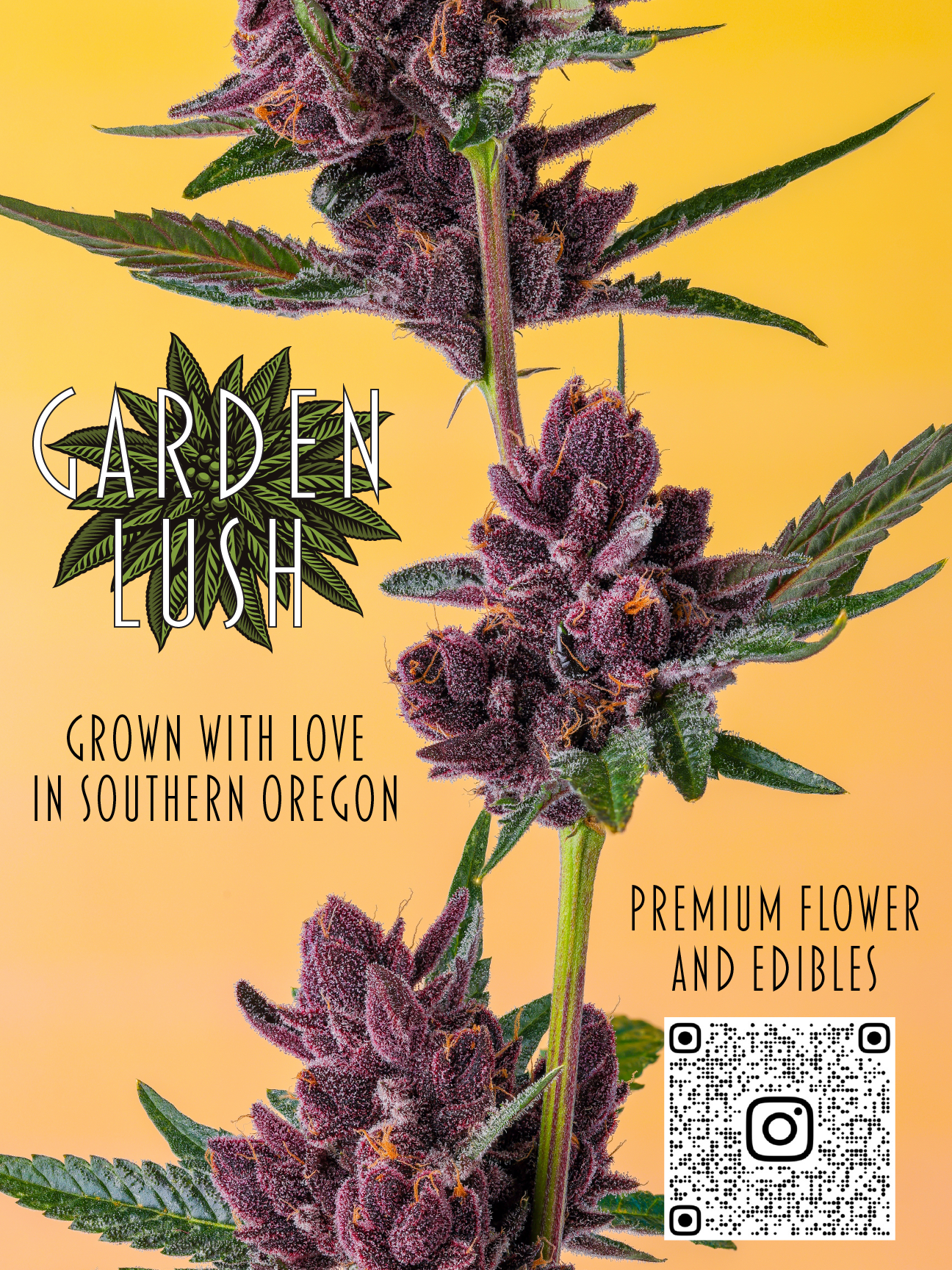 A close-up of purple and green cannabis buds with leaves on a yellow background, advertising Garden Lush, a cannabis grower in Southern Oregon, with a QR code and Instagram icon.