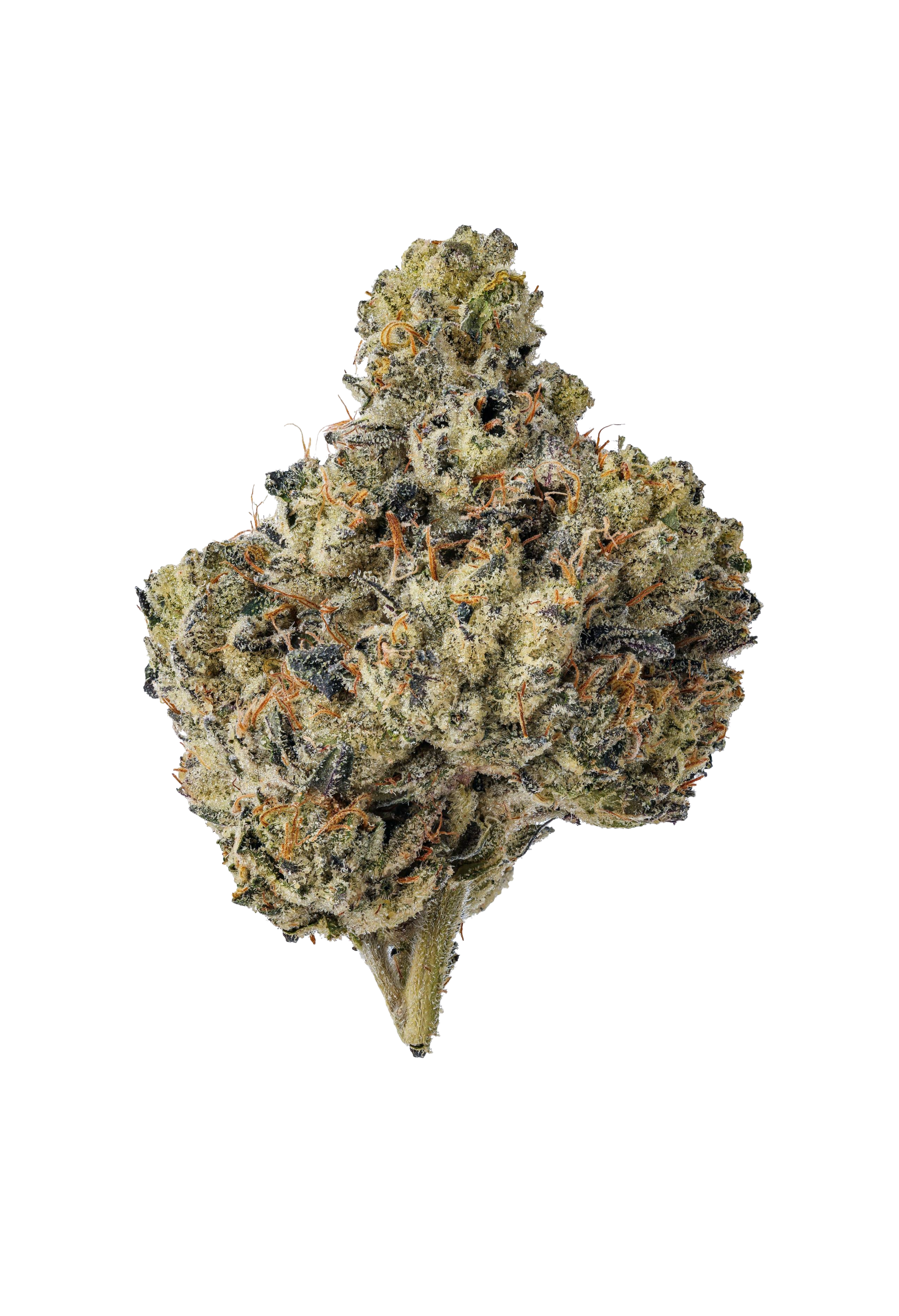 Garden Lush 3.5 Gram THCa