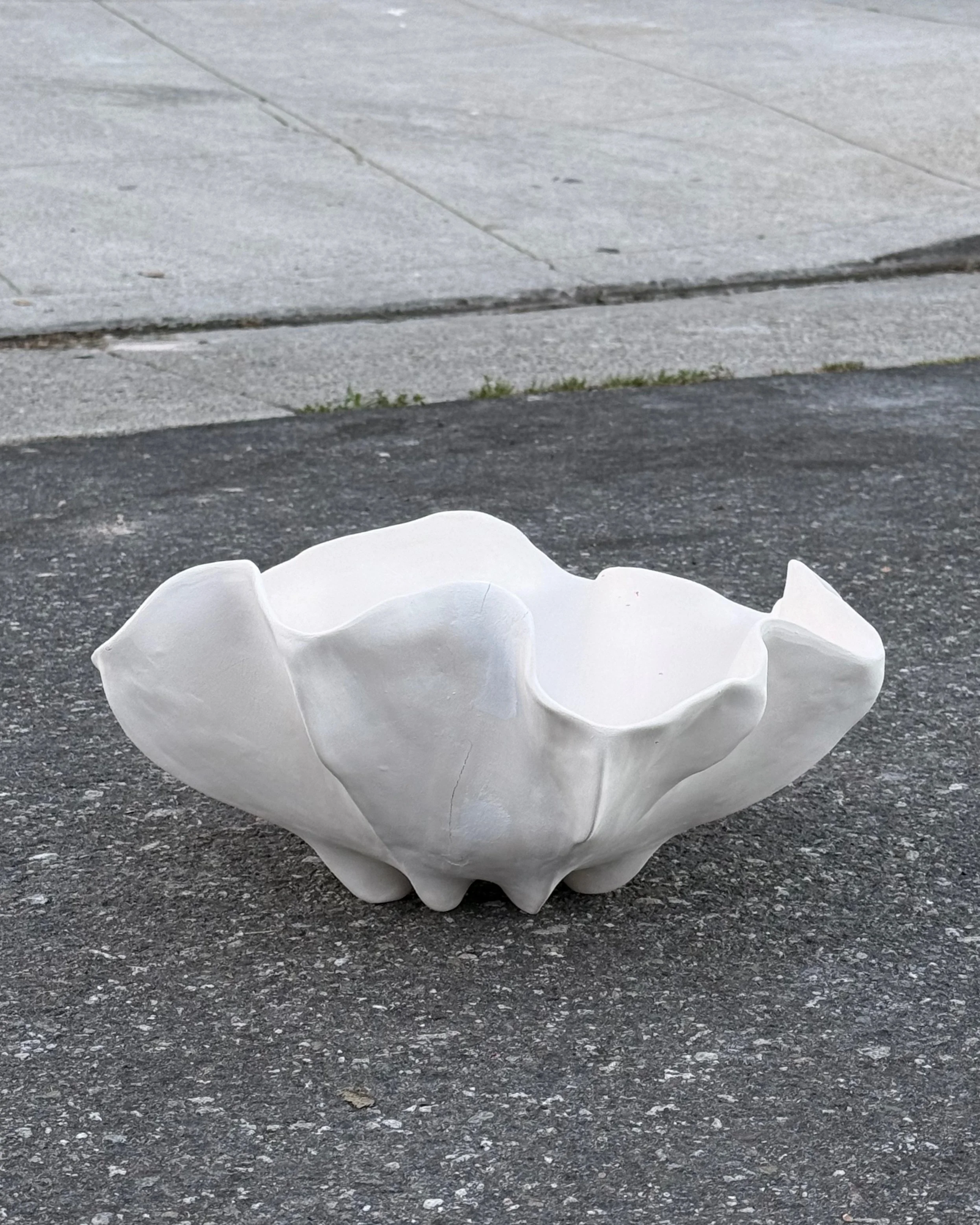 Large Shell Bowl