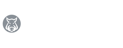 Hampsten Cycles | Custom Bicycles &amp; Consulting