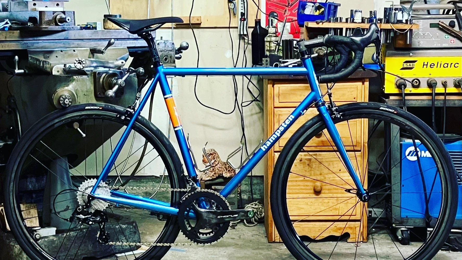 Meanwhile, in Meadowbrook: