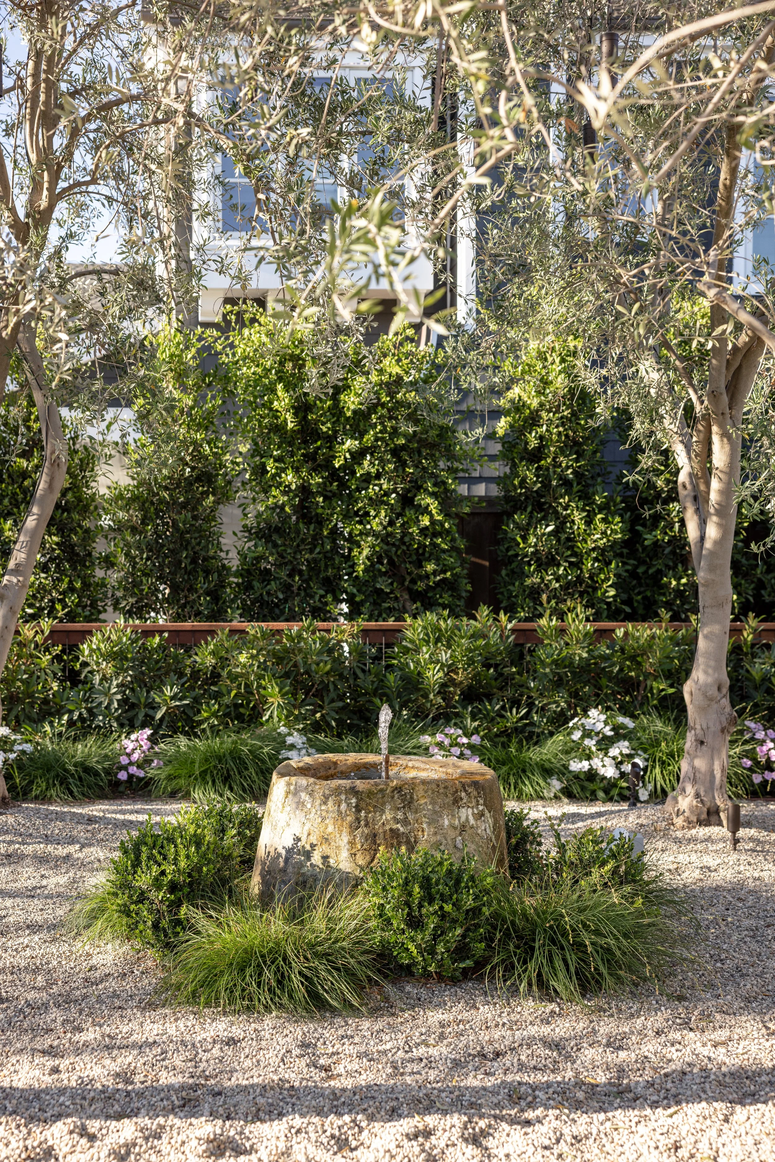A small garden with a fountain in the center, surrounded by various green bushes and trees, with a building in the background.