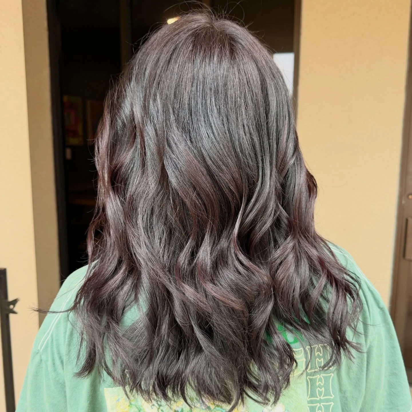 Moody, rich, expensive-looking hair will forever have my heart. 🤎🖤 #darkhair #etxhairstylist