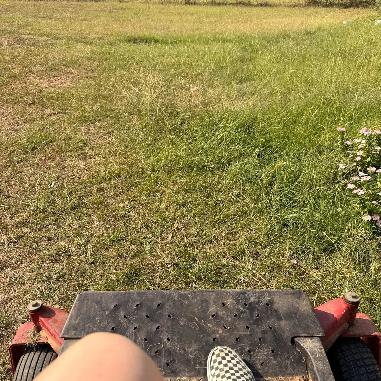 One of my favorite things&hellip;. There is just something about hopping on the mower to worship, pray and thank God for it all. Even the struggles I will continue to praise Him. I&rsquo;m just so grateful for You GOD. 🙌🏽🥰❤️&zwj;🔥 #godimjustgrate