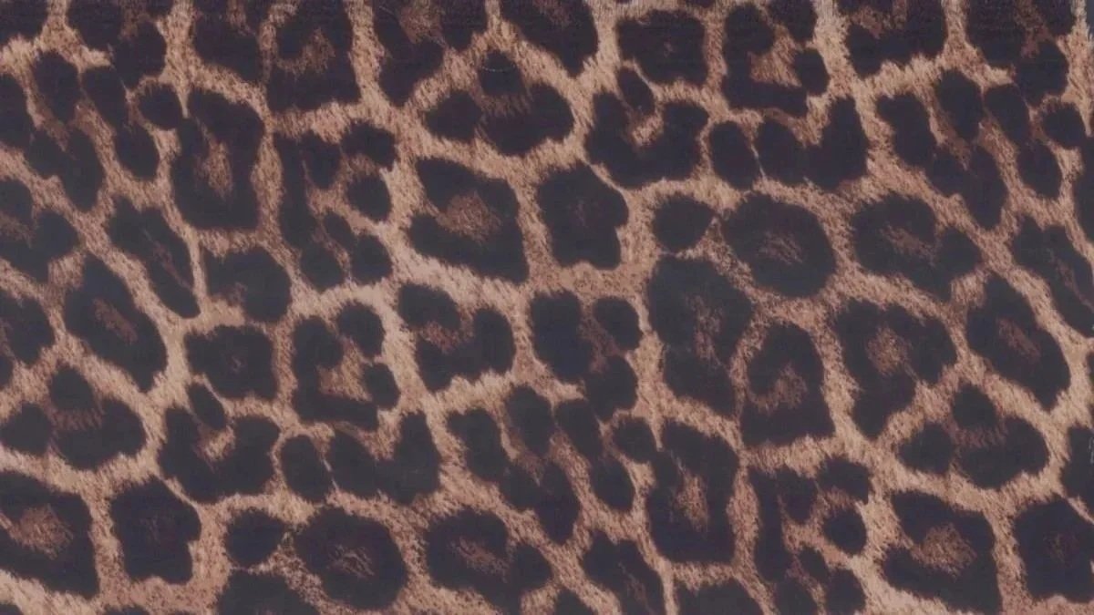 Close-up of animal print pattern resembling leopard or cheetah spots.