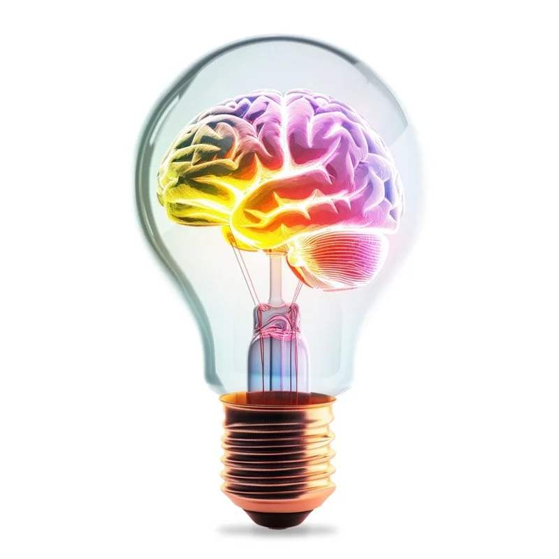 The Wired & Withdrawn Cycle