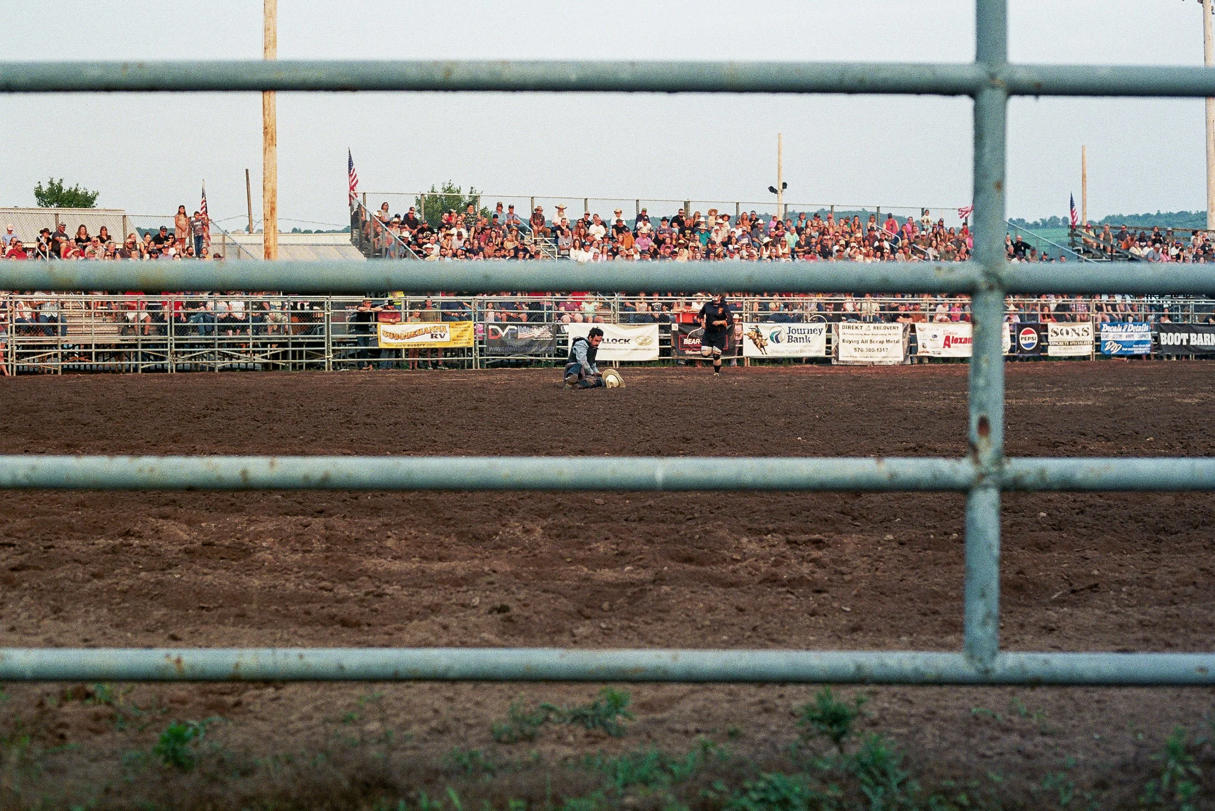 31A_1345.jpg