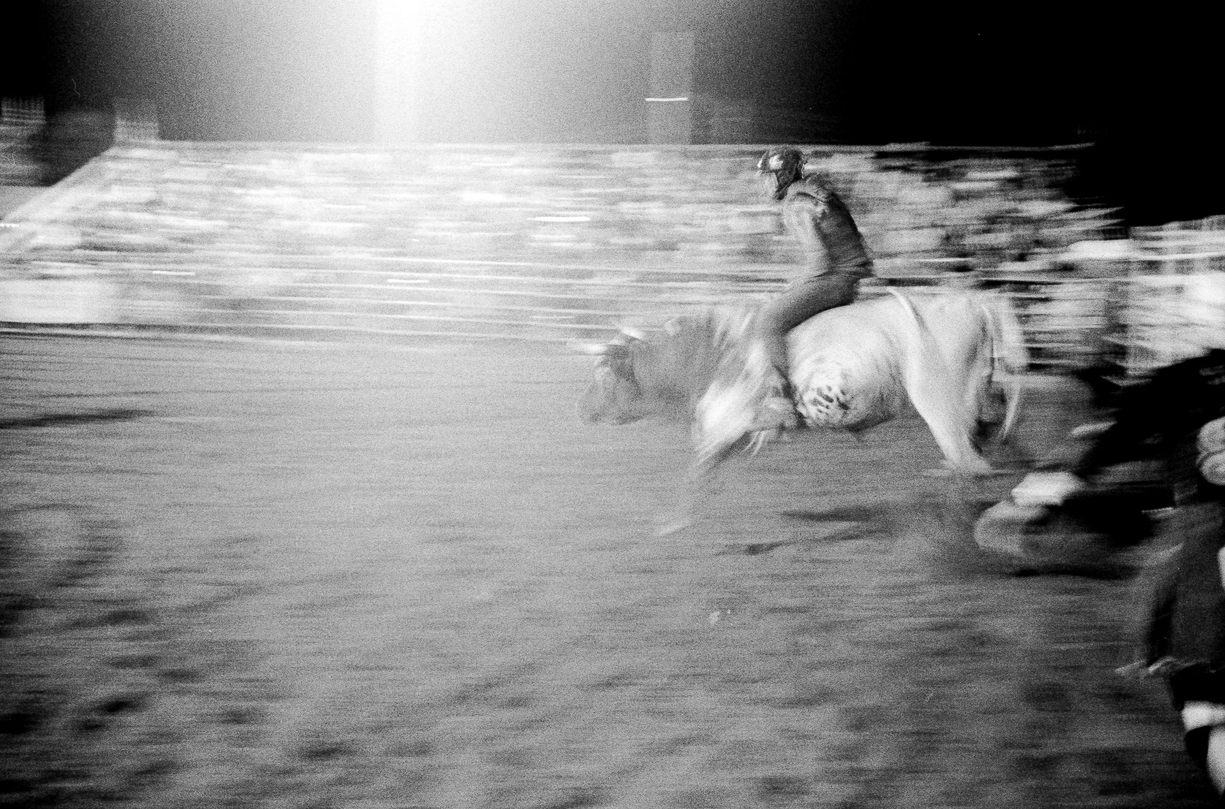 0036.jpg