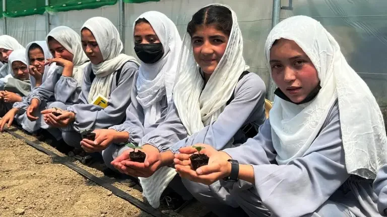 Group of young girls in uniform holding small plant seedlings during a gardening activity at a greenhouse or nursery.