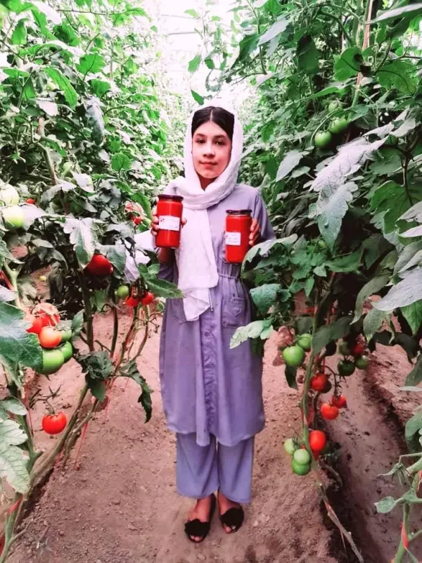 Young woman standing among tomato plants in a greenhouse, holding containers of tomato pesticide.
