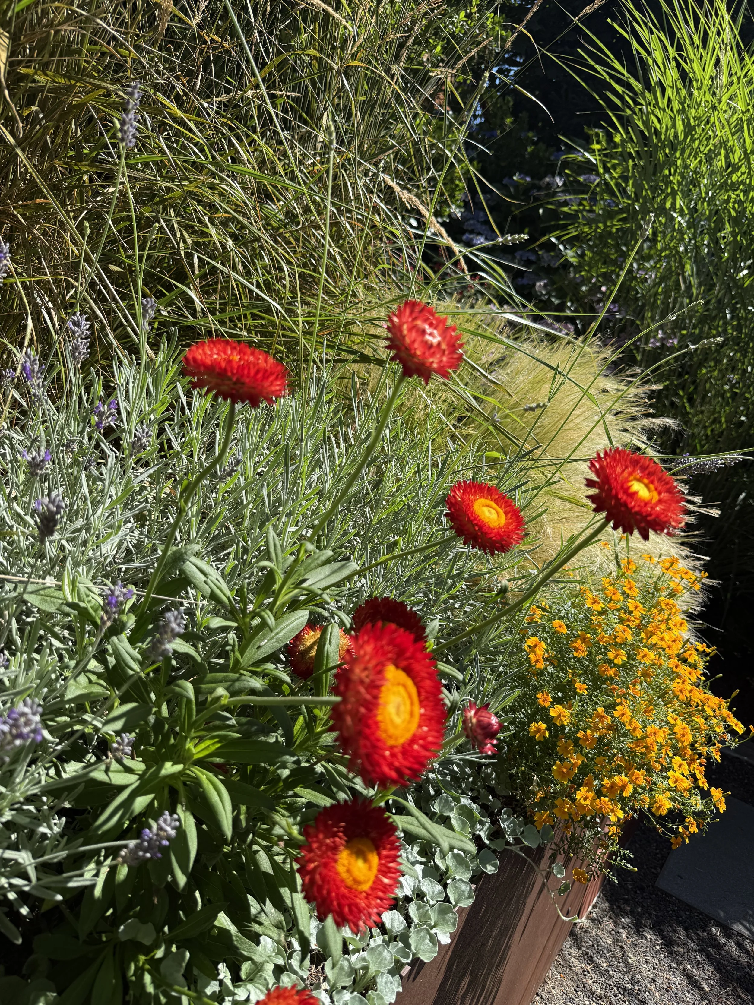 Plant Design & Installation