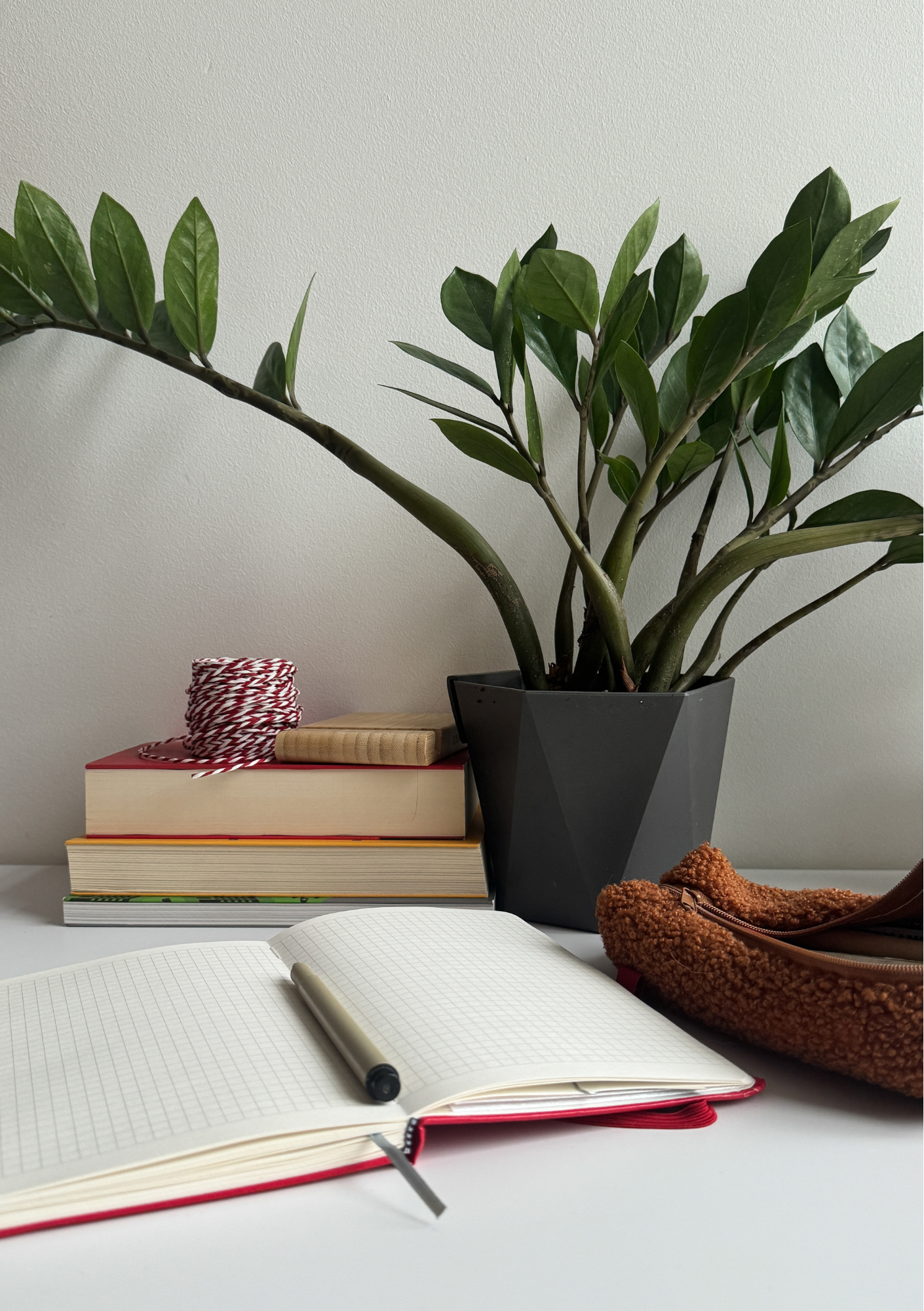 A workspace with an open notebook and black pen on a white desk, a stack of colorful books, a spool of red and white baker's twine, a brown fuzzy bag, a large green-leafed plant in a black pot, and a red bag on the surface. The background is a plain white wall.