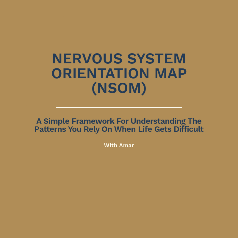 Nervous System Orientation Map (NSOM)