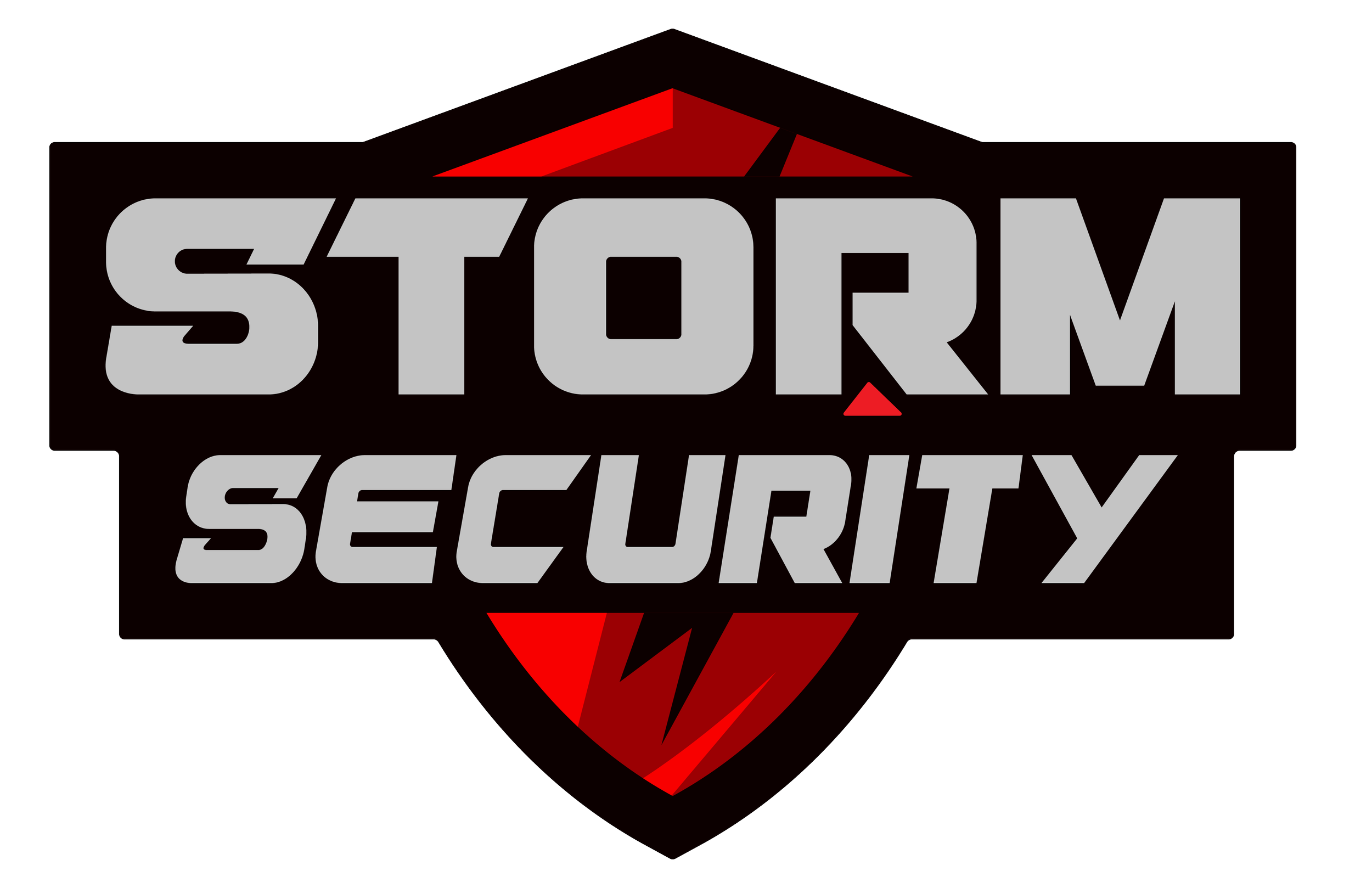 Storm Security, Ltd. logo.