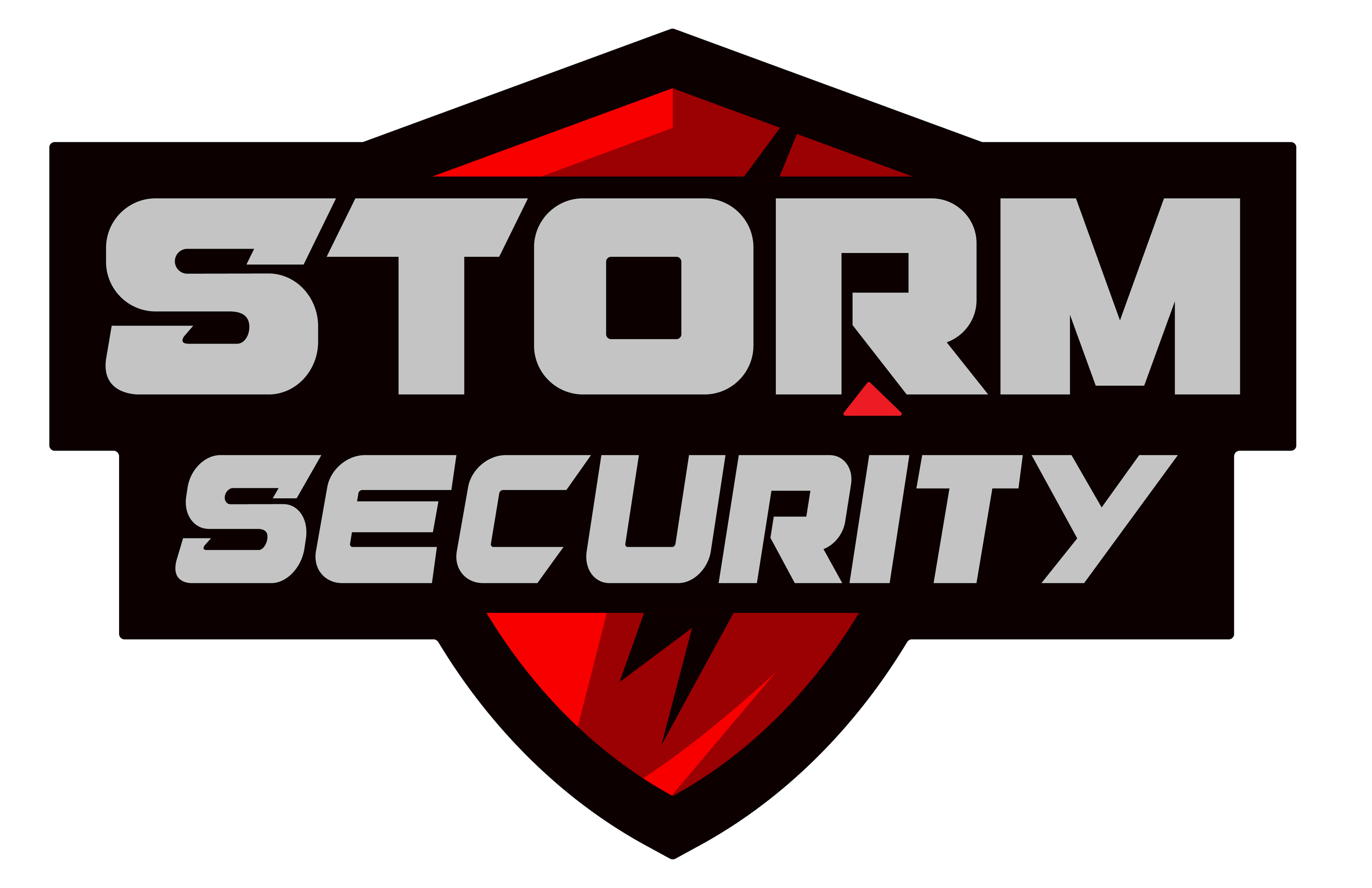 Storm Security, Ltd. logo.