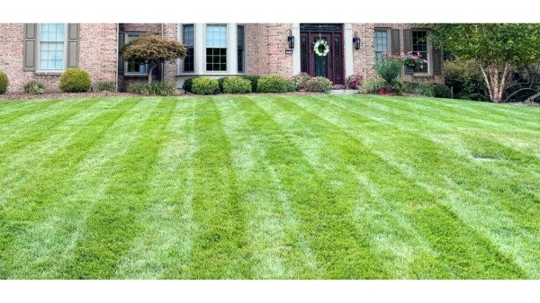 Residential Lawn Care