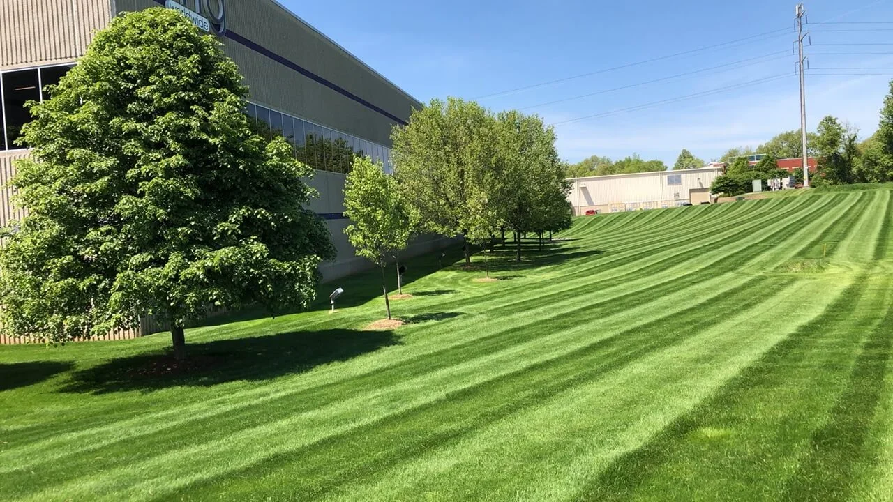 Commercial Lawn Care
