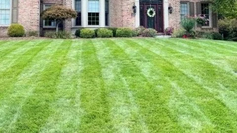 Front yard with well-maintained green lawn and a house in the background with a wreath on the door.