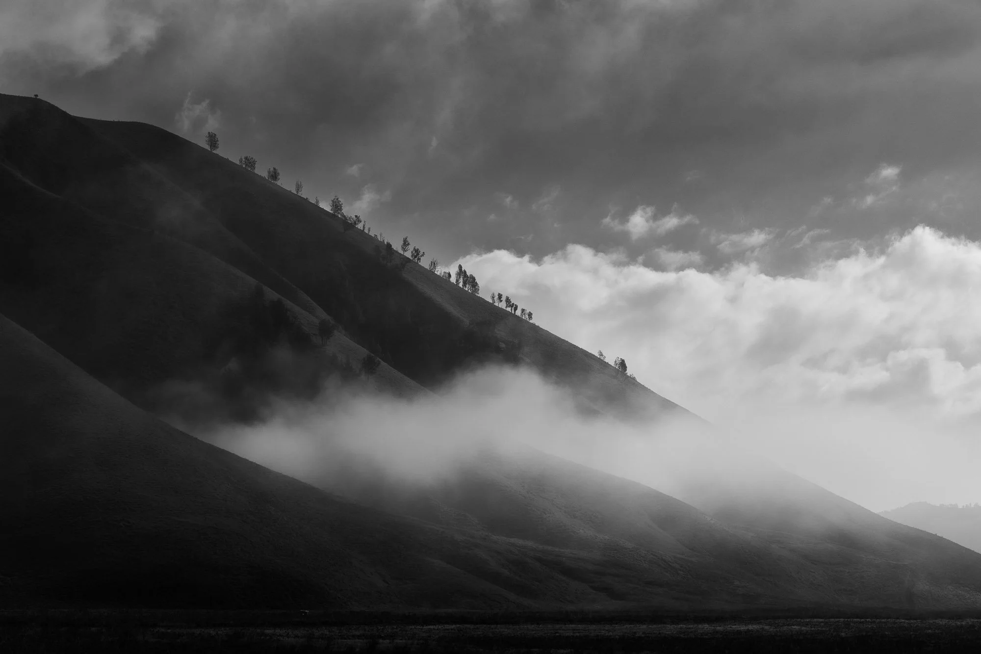 The Quiet Power of Nature 
