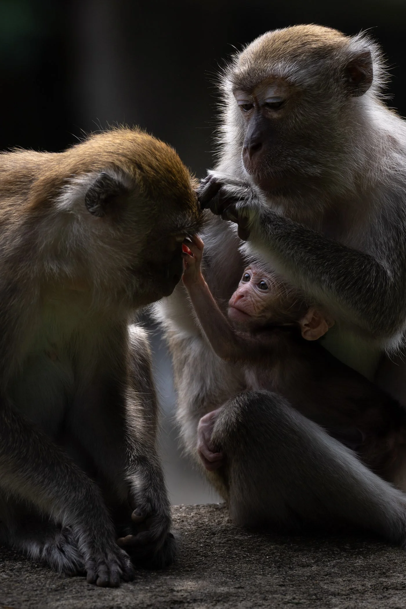 Mommy's little helper.jpg