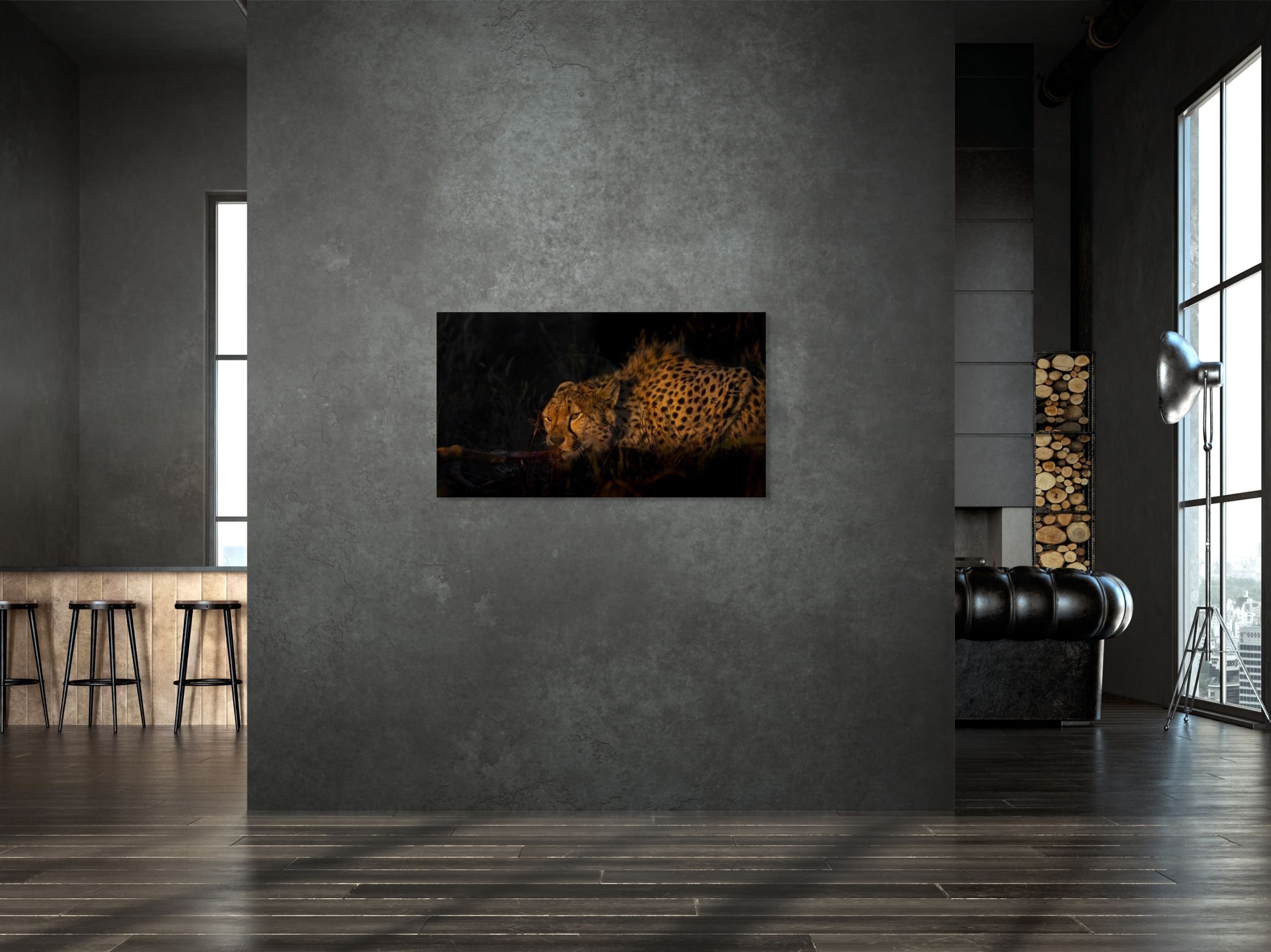 twilight bounty studio 70x123-large.jpg