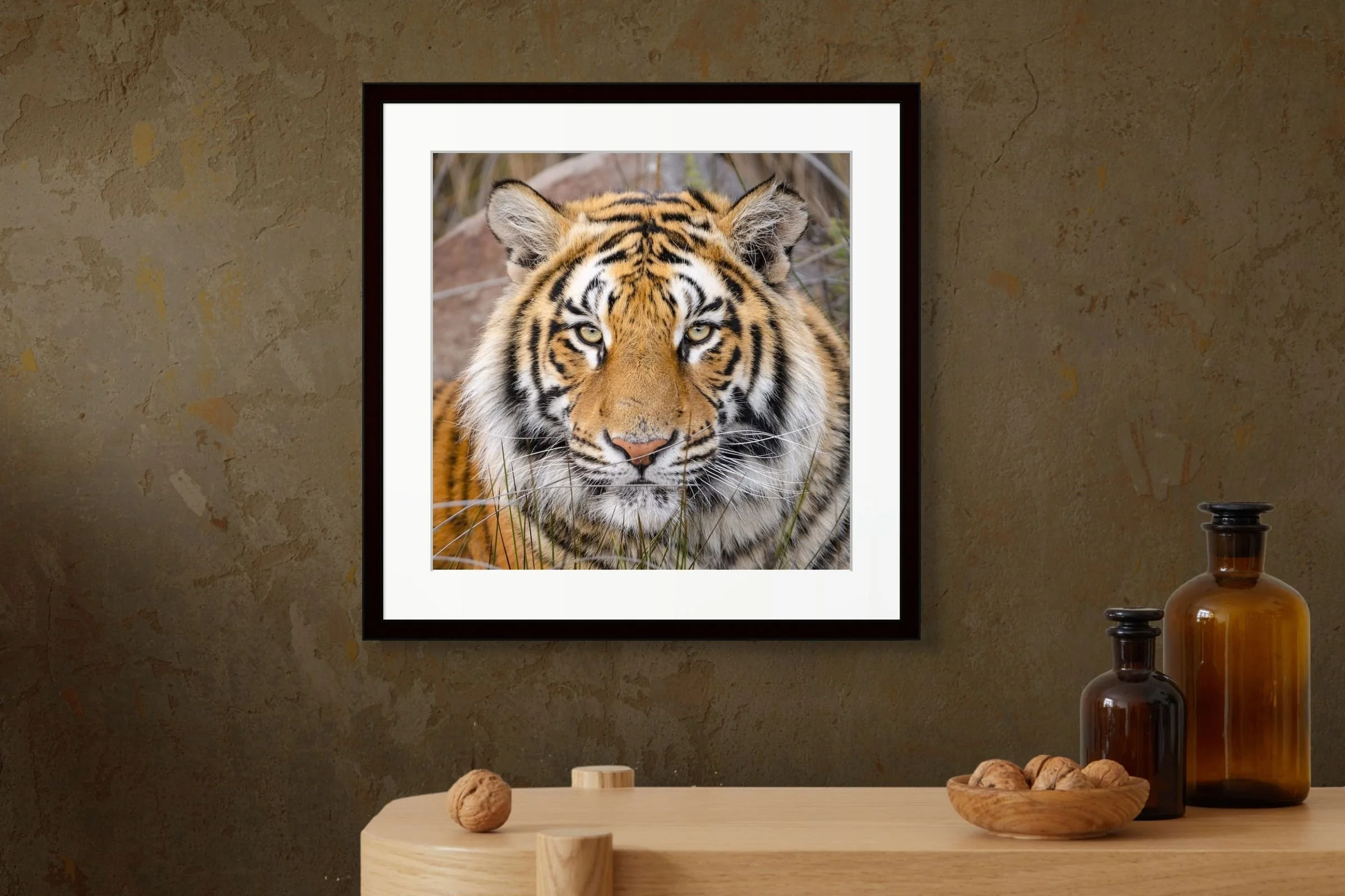 amber gaze textured 40x40cm-large.jpg