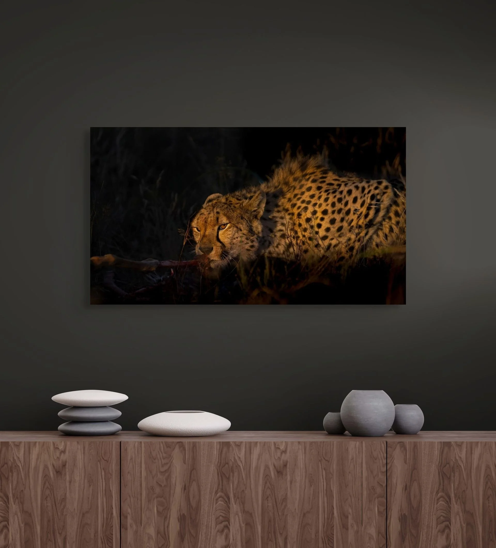 twilight bounty cabinet 50cm-medium.jpg