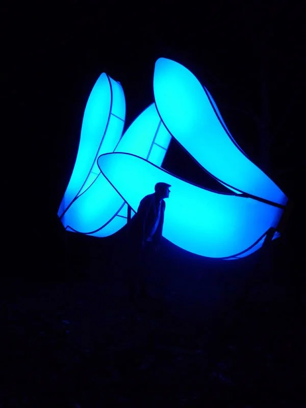 Love Motel for Insects: Anax Junius Variation. Smithsonian National Zoological Park, Washington DC, USA. Summer 2012. Outdoor installation and Eco-Actions (public field-trips) with: Black Ultra-violet lights, steel, fabric, native plants, invited ins