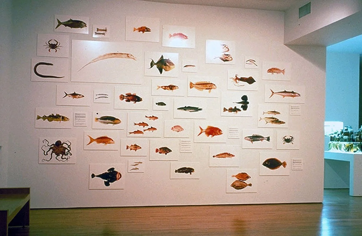 Queens Museum of Art, Queens, NY, 2001.