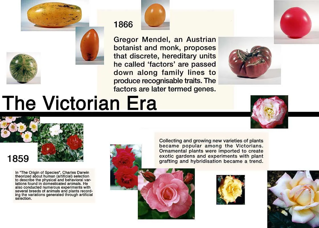 The Victorian Era. Natural History Museum, Darwin Centre, London, Summer 2003.