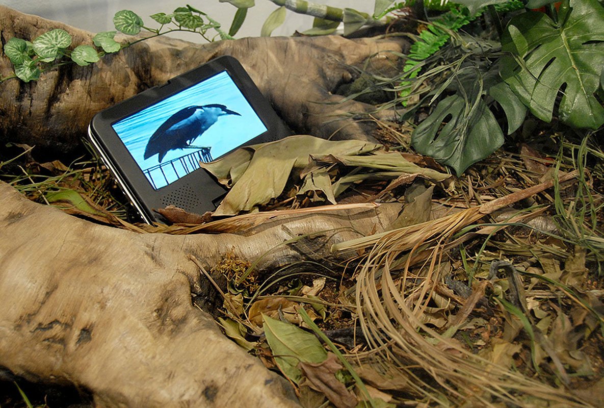 Lowland Tropical Rainforest Displacement. 2006/2007. Mixed Media Sculpture with video by Valerie Druguet and David Rosane