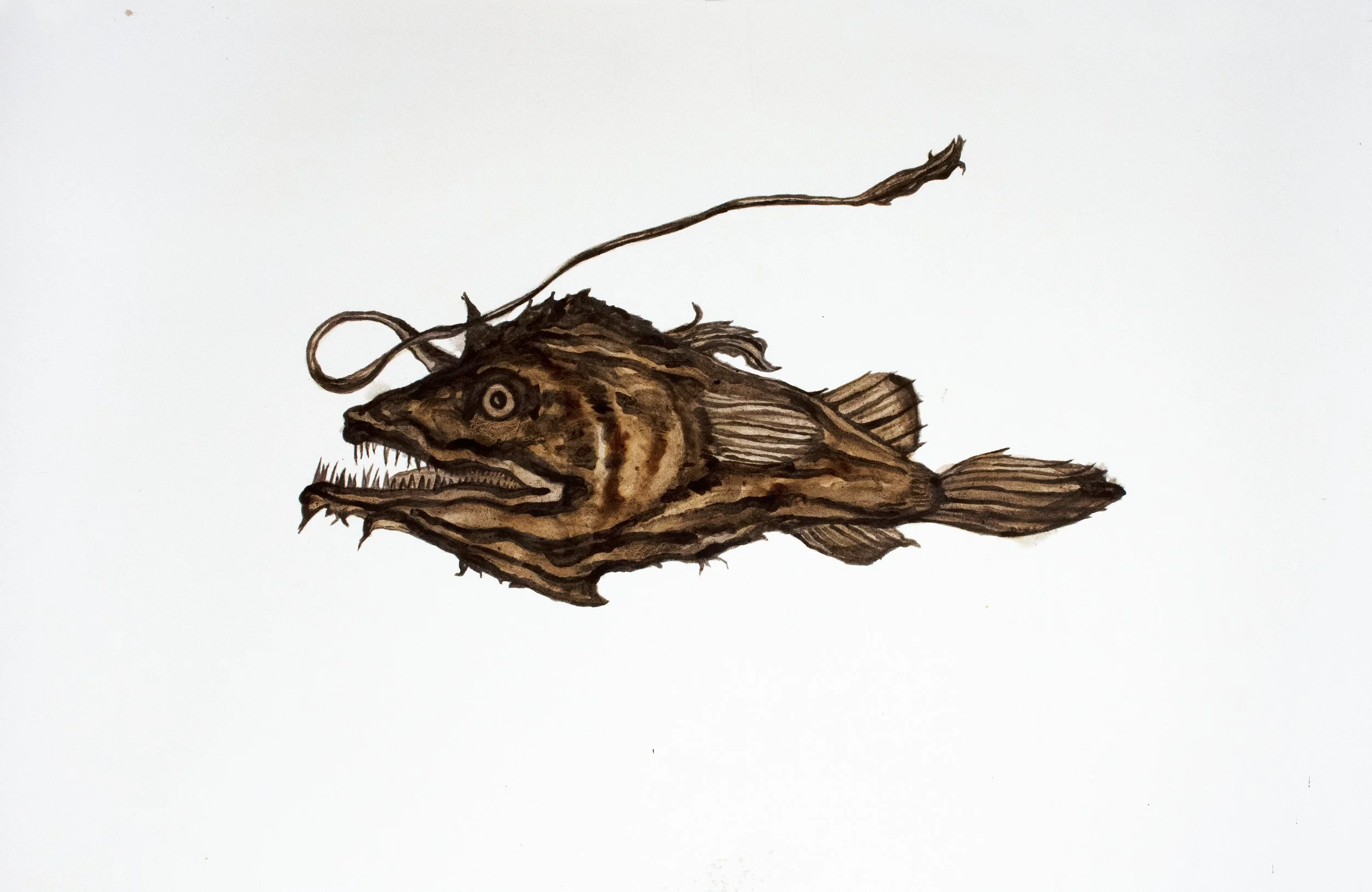 MIA Deepwater Florida Dreamer Anglerfish. 2020-21. Mixed media with Deepwater Horizon source crude oil, Taylor/ MC20 source crude, contaminated marshland sediment with oil, anaerobic bacteria and iron oxide, and COREXIT 9500A (dispersant) on Arches h