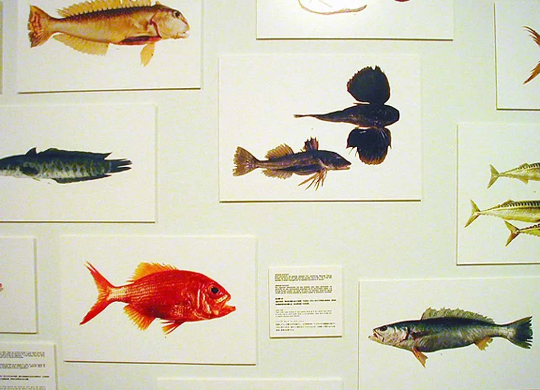 Queens Museum of Art, Queens, NY, 2001.