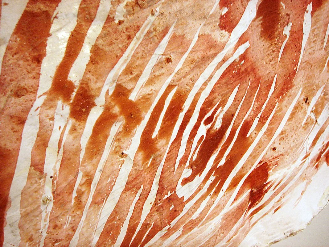 Alchimie de la Douleur - Detail 1. 2005- Ongoing. Individual drawing size approx H 60 inches x W 46 inches x D 75 inches. Series of 10 drawings based on the artist’s fingerprints.The artist’s blood, cadmium, dioxin, petrochemicals, mercury, lead, PCP