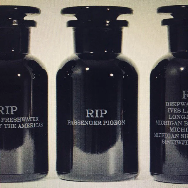 brandon_ballengee_frameworks_urns.jpg
