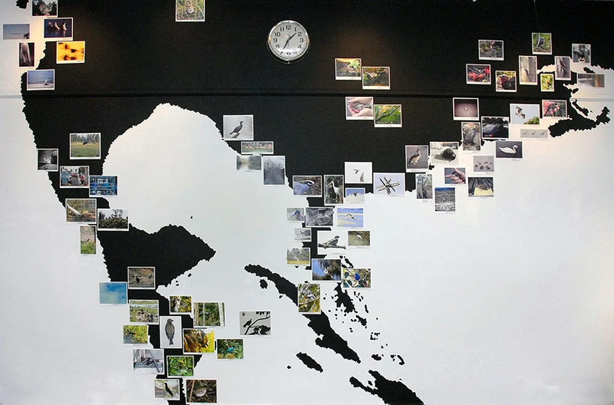 The Great Atlantic Flyway. 2005/07. Site-specific installation.
