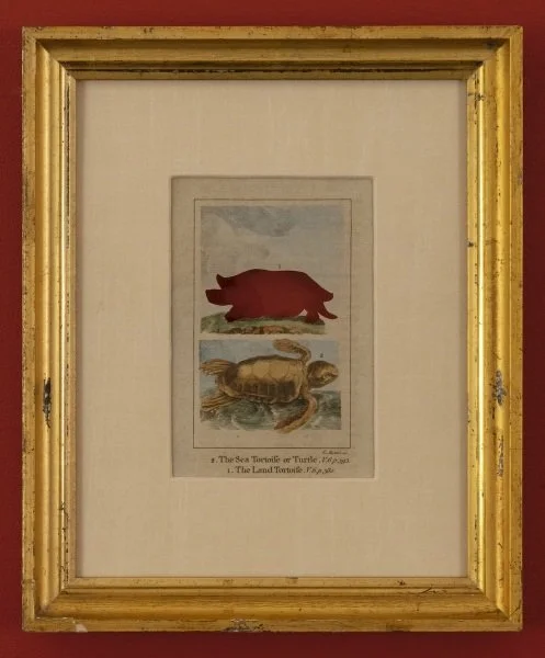 RIP Reunion Giant Tortoise: After George Shaw, 1801/2018, Artist cut and burnt hand-colored copper engraving, ashes, and etched funerary urn, 11 1/2 x 9 1/2 x 1 inches