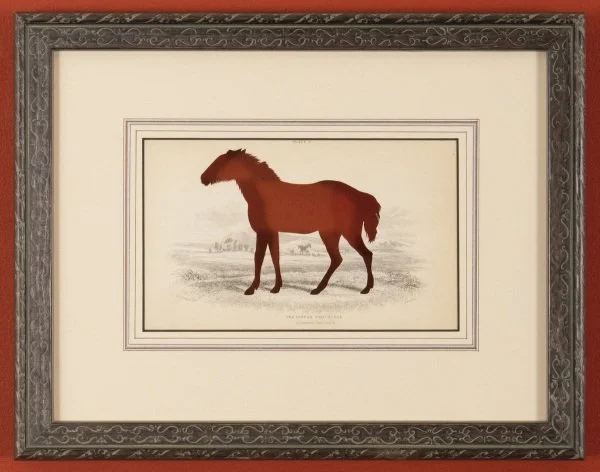 RIP Tarpan: After William Lizars, 1841/2018, Artist cut and burnt hand-colored steel engraving, ashes, and etched funerary urn, 9 x 11 1/2 x 7/8 inches