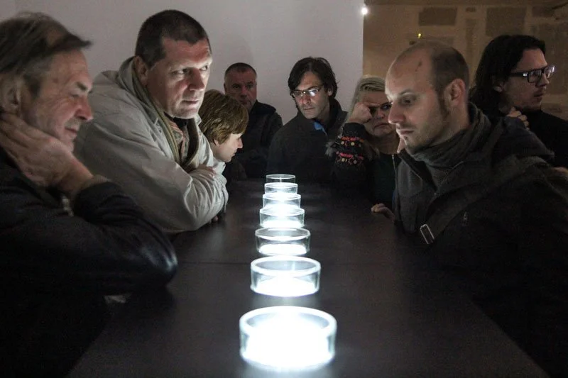 Styx: Variation XII. 2012. Portal MMC Kibla, Maribor, Slovenia. Mixed media installation with 9 cleared and stained Pacific treefrogs on sculptural light-box. In scientific collaboration with Stanley K. Sessions. Photograph by Matej Kristovič.