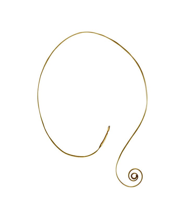 Horsehair worm, Gordius species. 2003. Unique digital C-print mounted on plexiglas. 35 x 31 in.