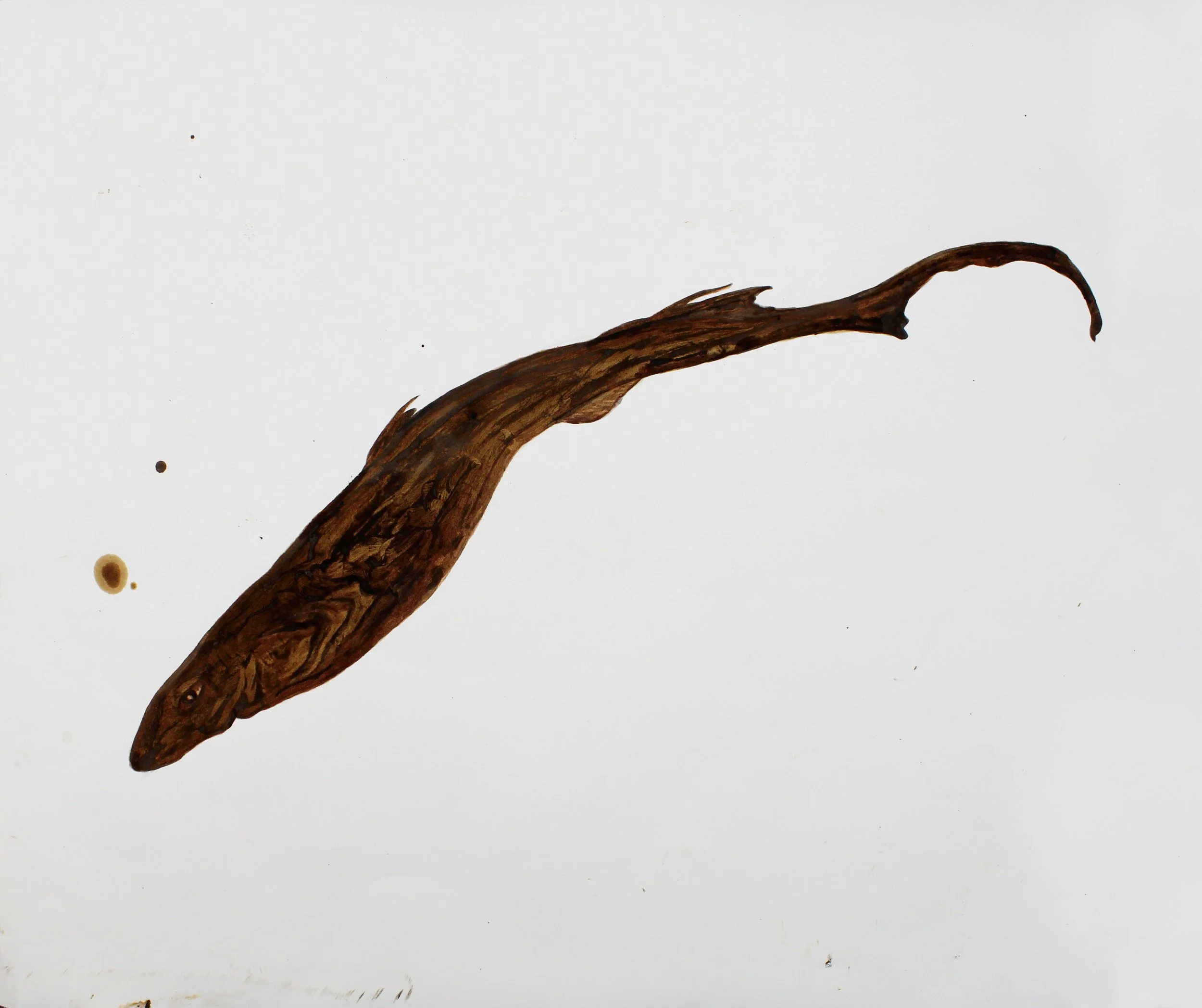 MIA Campeche Catshark. 2020. 22 by 24 inches. Mixed media with Deepwater Horizon source crude oil, Taylor/ MC20 source crude, contaminated marshland sediment with oil, anaerobic bacteria and iron oxide, and COREXIT 9500A (dispersant) on Arches hot pr